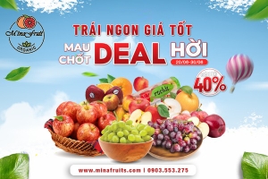 Khuyến Mãi Đặc Biệt Sale off 40% Happy Family Day 2024 !