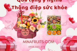 Bạn đang tìm Giỏ trái cây và Hộp trái cây làm quà tặng ?