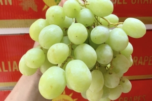 Tác Dụng Chống Oxy Hóa Tuyệt Vời Từ Nho Cho Làn Da Trẻ Trung