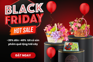 🔥BLACK FRIDAY🔥 – HOT SALE MINAFRUIT