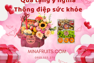 Bạn đang tìm Giỏ trái cây và Hộp trái cây làm quà tặng ?