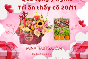 Gợi ý giỏ hoa trái cây sang trọng – Tri ân thầy cô 20/11