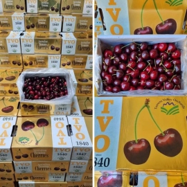 Cherry TVO size 28-30