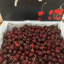 Cherry Morada size 9