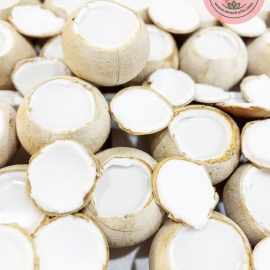 Rau câu dừa trọc