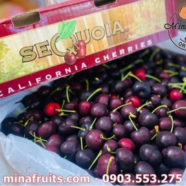 Cherry Black Pearl size 10