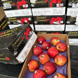 Táo Ever Crisp Mỹ (Táo mật Mỹ)