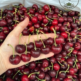 Cherry Meena size 10