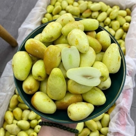 Táo Kim Ty (Táo Thuốc)