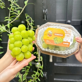 Nho Mẫu Đơn TERRISA