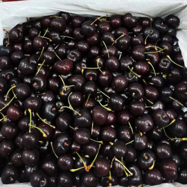 Cherry Box 2kg - Chủng Black Pearl