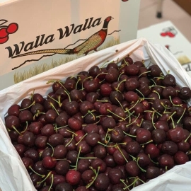 Cherry Walla size 9.5