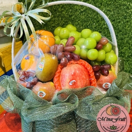Giỏ trái cây MNG005