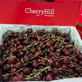 Cherry Hill size 26