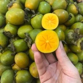 Hồng giòn Xuân Vân