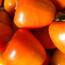 Hồng trứng láng