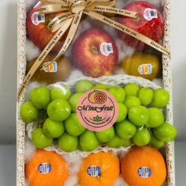 Hộp quà tặng trái cây MNH007