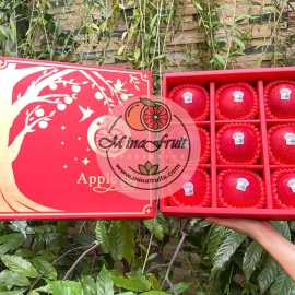 Hộp quà tặng trái cây Táo Envy MNH001