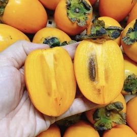 Hồng giòn Quế Phương