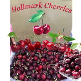 Cherry Hallmark 26+