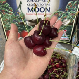Cherry Moon