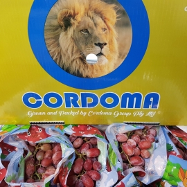 Nho Đỏ Cordoma