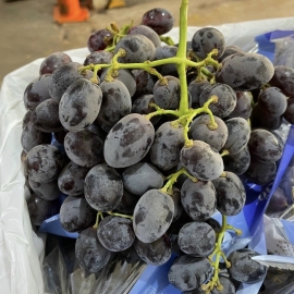 Nho Đen Okuku
