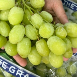 Nho Xanh Nam Phi