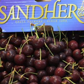 Cherry Canada Candher size 10