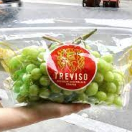 Nho Xanh Treviso