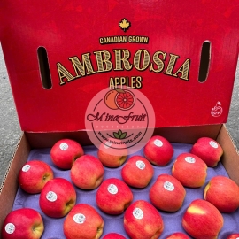 Táo Ambrosia Canada