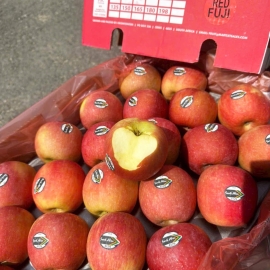 Táo Fuji Redmaklet