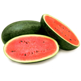 Dưa hấu biển Thạnh Phú