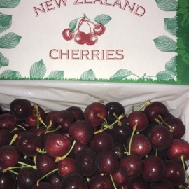Cherry New Zealand 