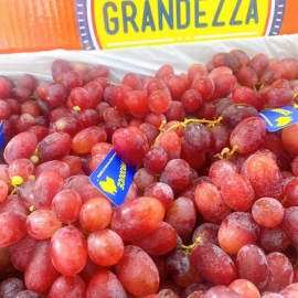 Nho Đỏ Grandezza